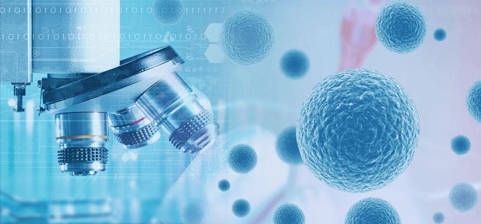 日本干细胞护肤_日本干细胞骗局_日本干细胞安全吗