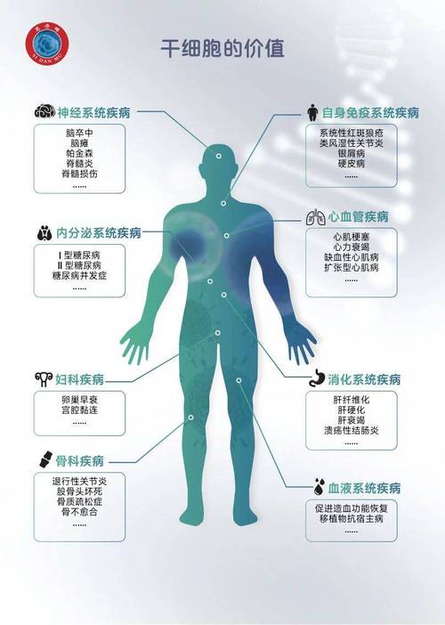 乌克兰干细胞医院_乌克兰干细胞注射价格表_乌克兰干细胞治疗多少钱