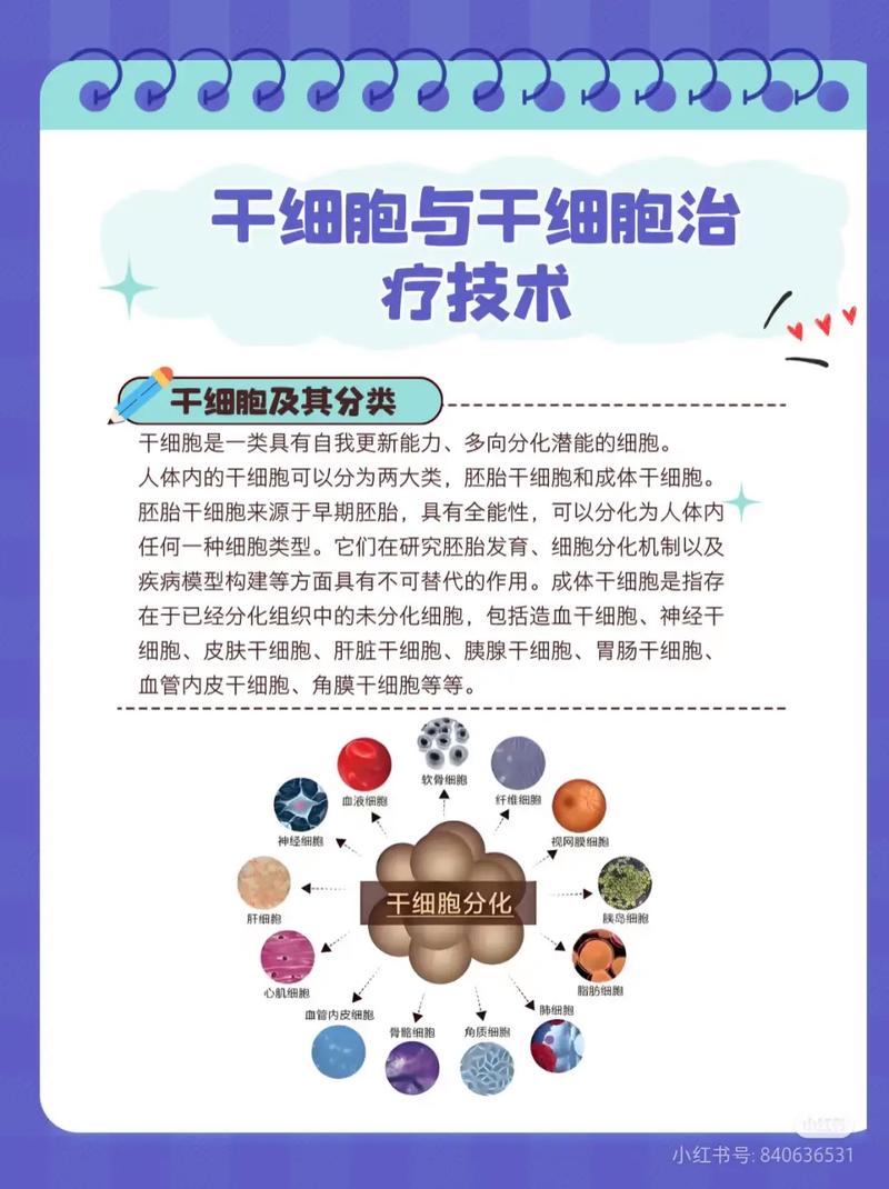 abr治疗烫伤疤痕靠谱吗_滋尔滨细胞美疗靠谱吗_格鲁吉亚干细胞治疗靠谱吗