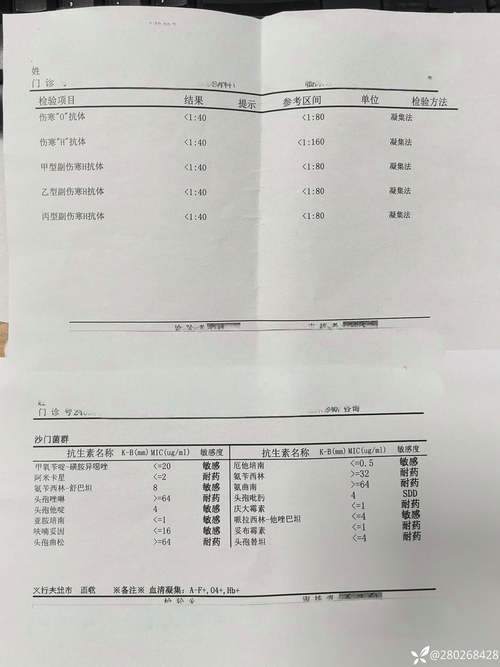 gv期是细胞什么意思_格鲁吉亚病毒感染情况_格鲁吉亚干细胞治疗恢复期