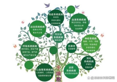 干细胞对更年期有作用吗_日本干细胞治疗更年期_日本治疗更年期药