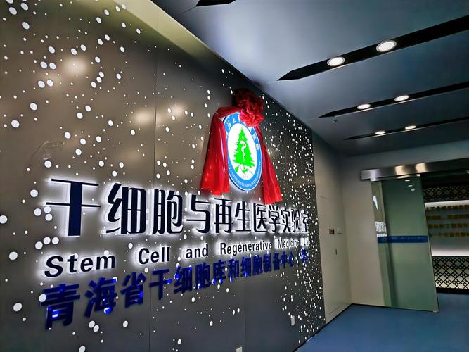 墨西哥细胞干医院有哪些_墨西哥干细胞医院_墨西哥细胞干医院怎么样