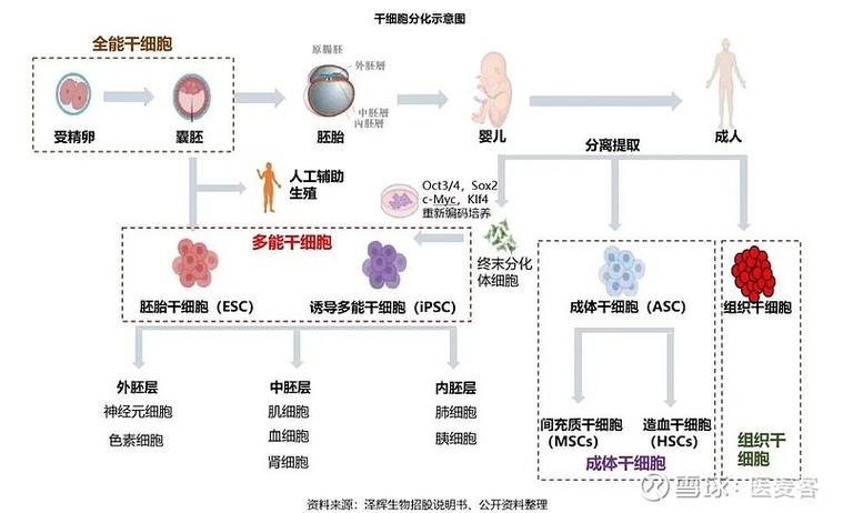 日本细胞治疗收费标准_细胞治疗步骤_日本干细胞治疗全流程
