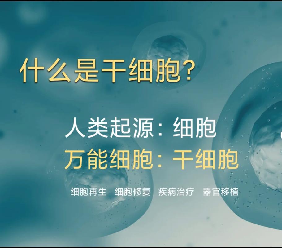 细胞治疗骗局_泰国储存干细胞医院_泰国干细胞治疗多少钱