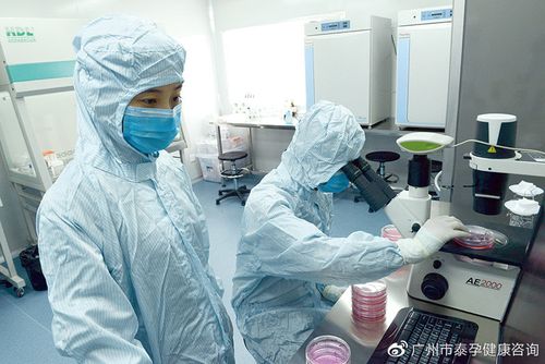 骨髓间充质干细胞的细胞毒性_泰国干细胞治疗真实效果_泰国储存干细胞医院