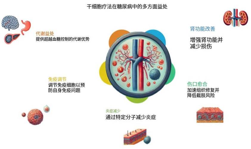 德国干细胞糖尿病治疗费用_国外干细胞治疗糖尿病_细胞疗法糖尿病
