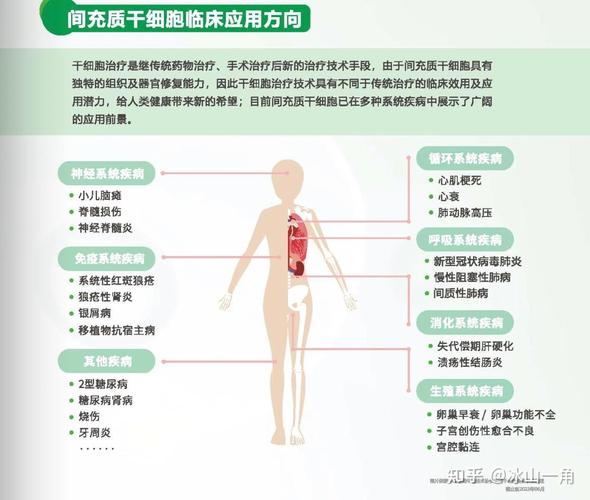 细胞治疗领域_德国干细胞治疗注意事项_细胞治疗最新进展