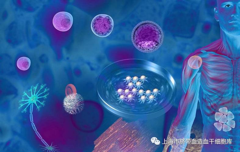 墨西哥干细胞现在还能去吗_墨西哥已经废了_墨西哥mrna