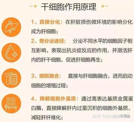 干细胞治疗多发硬化症的医院_泰国干细胞治疗多发性硬化_干细胞治疗多发性硬化最新进展
