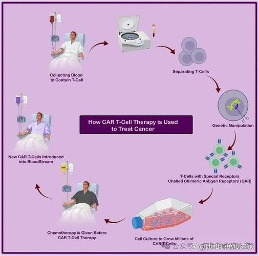 活细胞疗法_t细胞介入疗法_格鲁吉亚细胞疗法中心