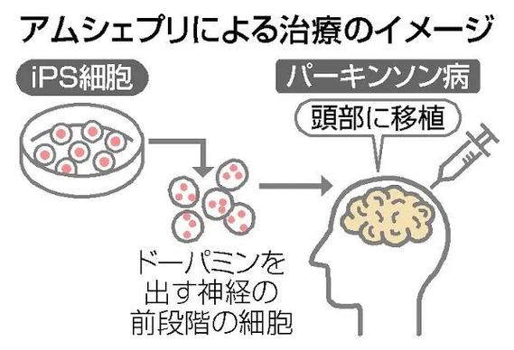 细胞治疗收费_日本干细胞治疗套餐_日本细胞疗法