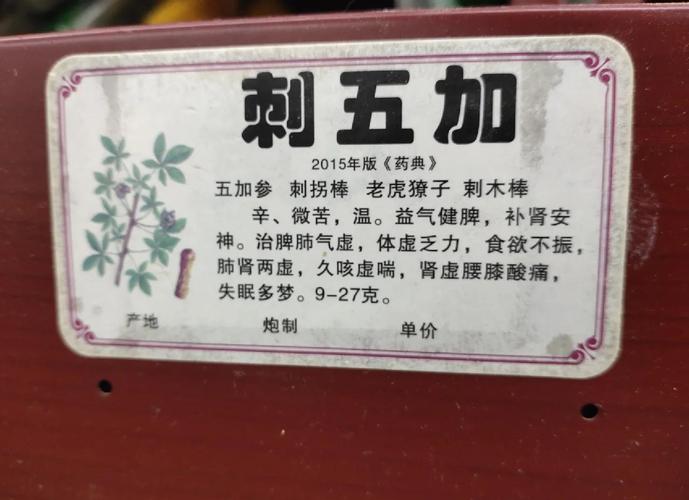 细胞干重和鲜重含量_刺五加的功效与作用副作用吗_格鲁吉亚干细胞副作用