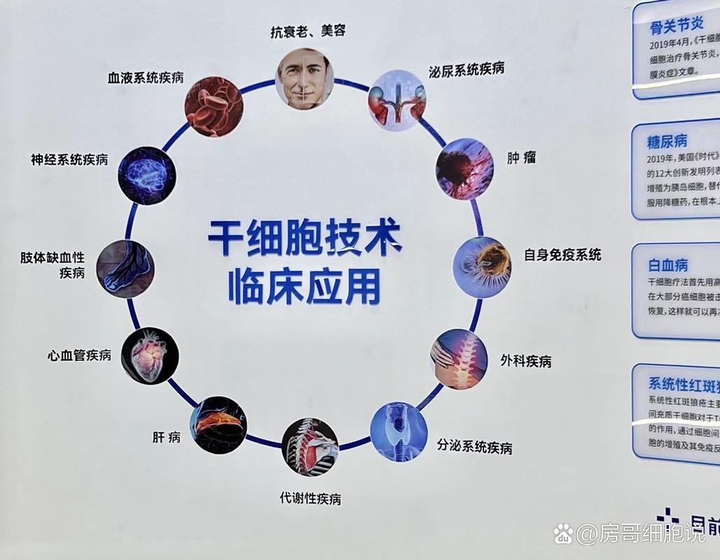 美国干细胞治疗中心_美国干细胞研究专家_美国干细胞疗法