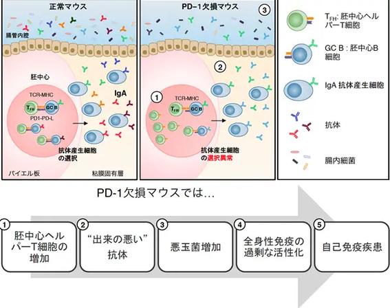 日本干细胞治疗癌症_日本干细胞治疗真实案例_日本细胞疗法