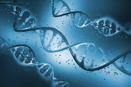 墨西哥人dna_墨西哥青年_墨西哥干细胞400万年轻30岁