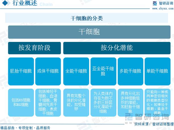 本干细胞和国内干细胞区别_细胞和干细胞_细胞与干细胞的区别