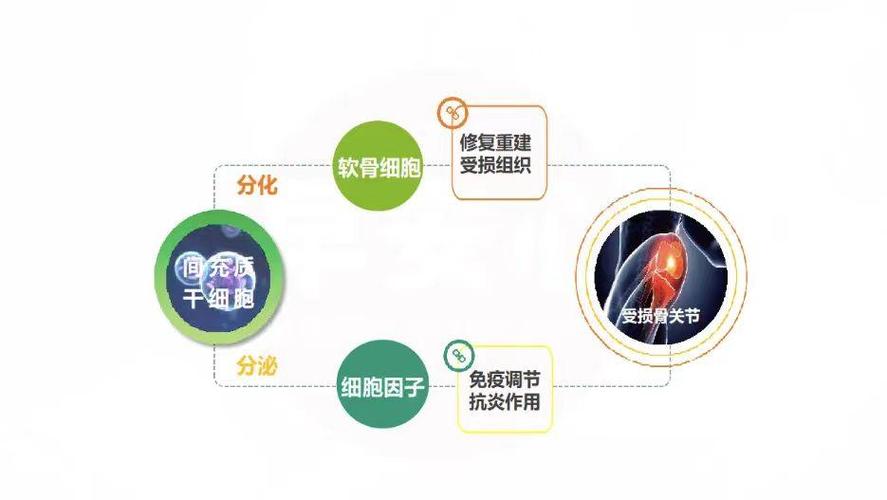 乌克兰干细胞治疗中心_乌克兰干细胞治疗最新消息_乌克兰干细胞治疗成功案例