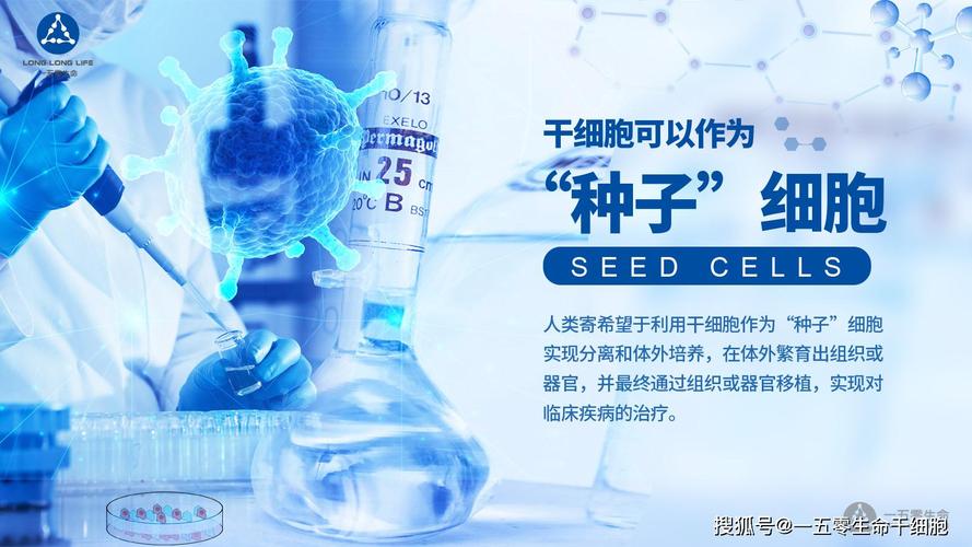 干细胞治疗关节炎2021_日本干细胞关节炎治疗_关节炎干细胞