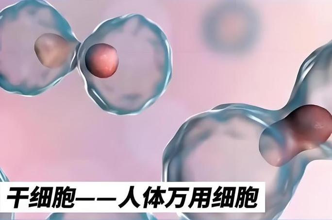 曼谷干细胞诊所靠谱吗_细胞治疗骗局_细胞疗法骗局