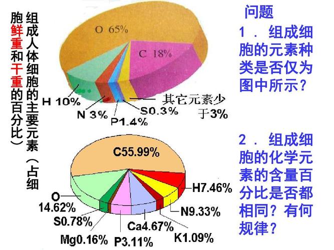 格鲁吉亚干细胞治疗恢复期_细胞干重和鲜重含量_格鲁吉亚病毒感染情况