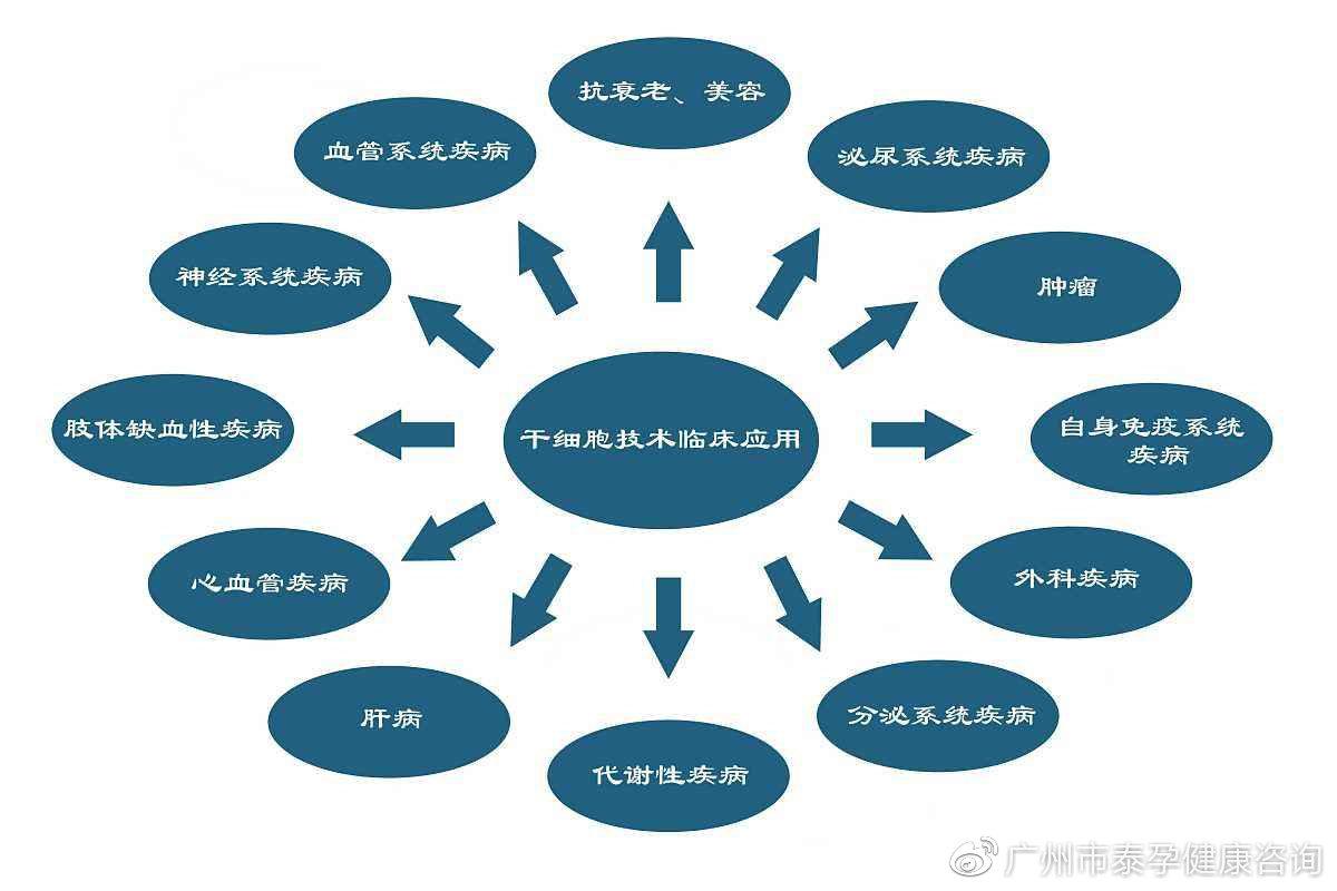 泰国干细胞治疗癌症辅助_泰国治疗癌症的药是什么名字_泰国治疗癌症神药