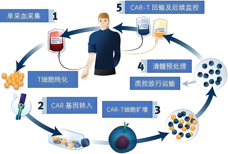 细胞干重和鲜重含量_格鲁吉亚干细胞治疗值得吗_肿瘤细胞生物治疗