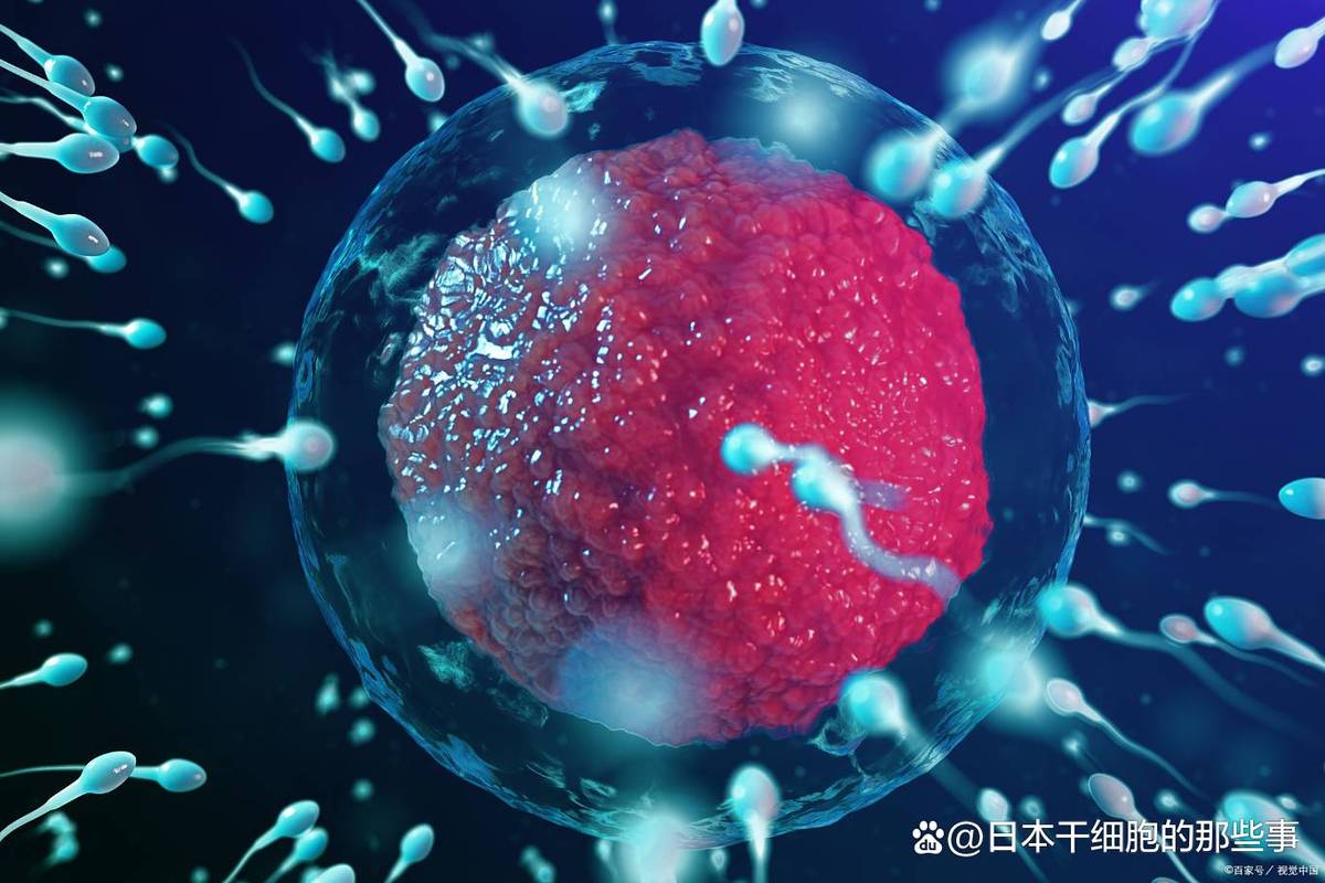 日本干细胞治疗成功率_日本干细胞治疗成功率_日本干细胞治疗成功率
