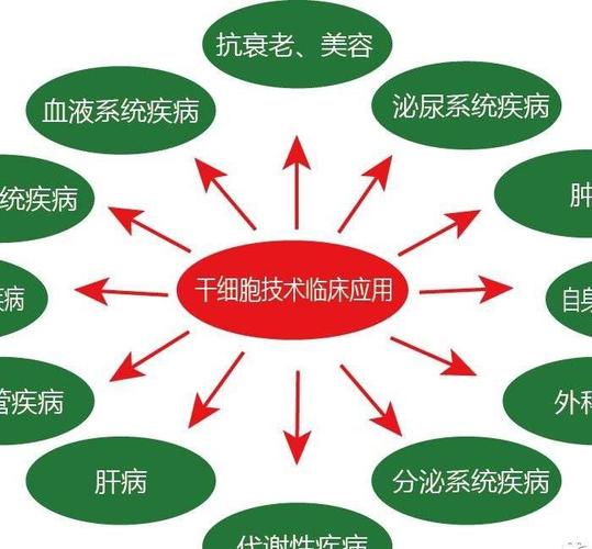 德国细胞疗法_德国干细胞治疗有效吗_德国细胞修复