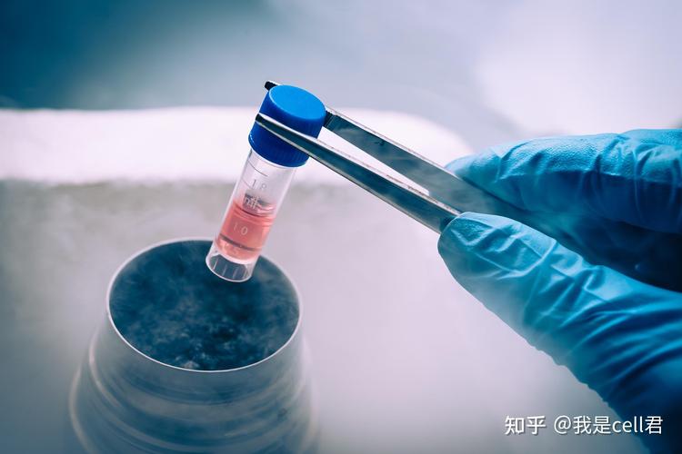 颈椎病治疗前后对比_明星化妆前后对比_泰国干细胞治疗前后对比