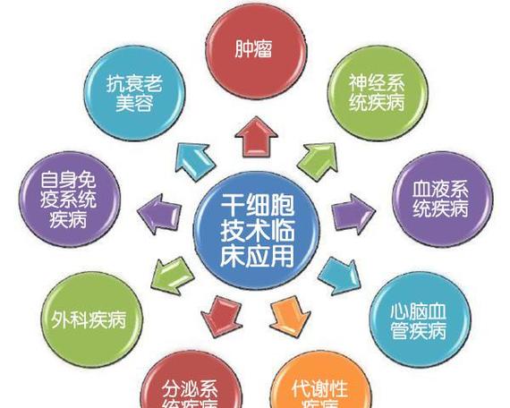 泰国干细胞疗程费用_形容老师语文课讲的好_天津格林国际幼儿园学费