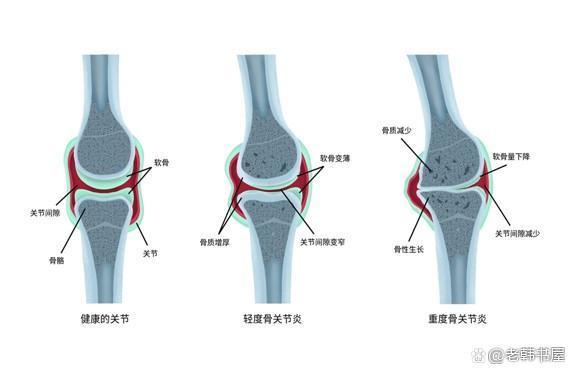 德国干细胞神经系统治疗_干细胞神经修复疗法_神经干细胞多少钱一针