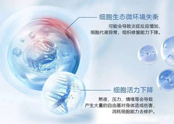 德国干细胞抗衰老真实效果_抗衰老干细胞品牌有哪些_抗衰老干细胞注射有用吗